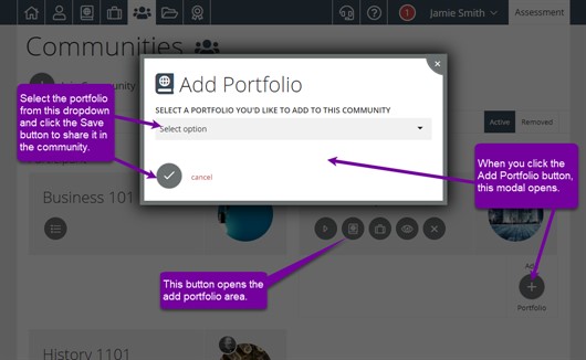 Adding Portfolios or Projects
